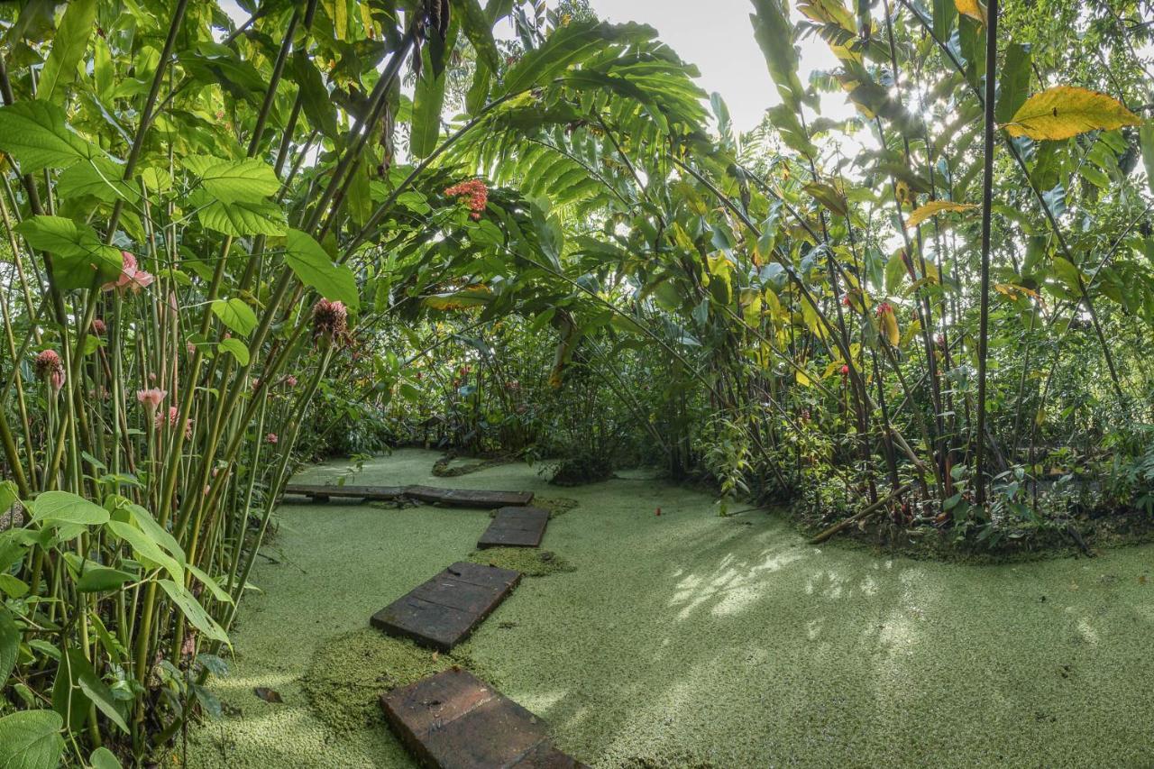 Cabanas Del Rio Ла Фортуна Экстерьер фото